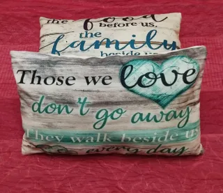 2 cojines juveniles 47x30 cm