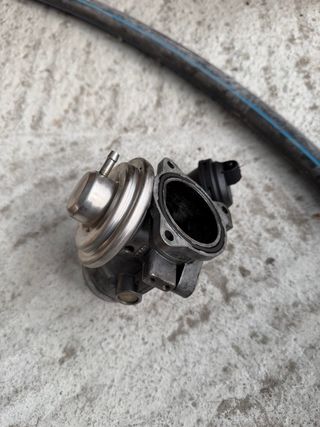 Válvula EGR Seat Ibiza 6K2