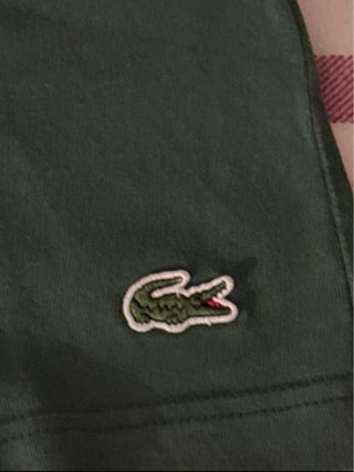Camiseta Lacoste Verde