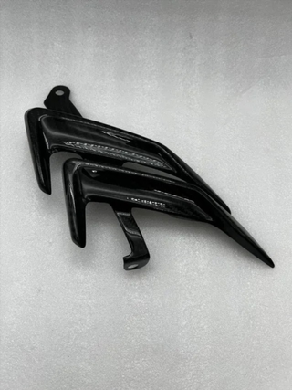 Carenado lateral Carbono S1000RR M1000RR 2019