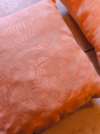 Coppia Cuscini Arredo Tessuto Arancione