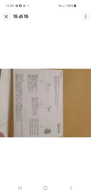 Lampada a sospensione Garland Gold Artecnica