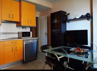 Alquilo apartamento vacacional. Roquetas de Mar