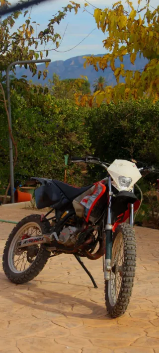 Beta RRT 2006 Top Rosa