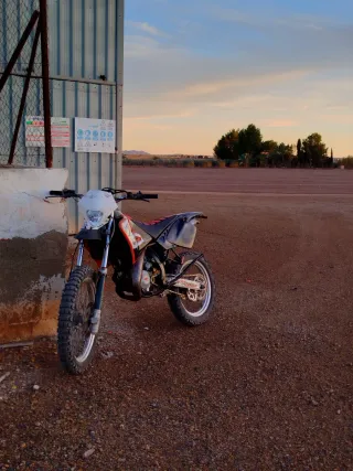 Beta RRT 2006 Top Rosa