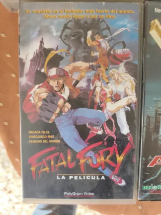 LOTE 6 VHS MANGA ANIME OVA