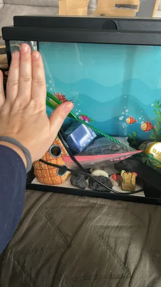 Acuario agua fría con filtro, accesorios, adornos.