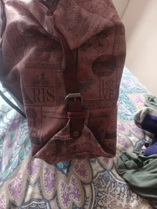 Bolso Dogsbybeluchi estampado París