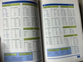 Diccionario de los verbos franceses(18.000 verbes)