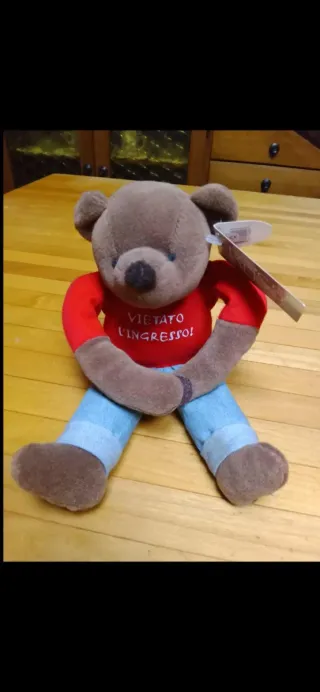 Peluche Teddy nuovo con maglietta