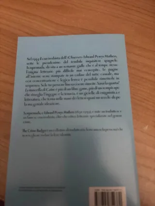 Noi siamo infinito. Ragazzo da parete