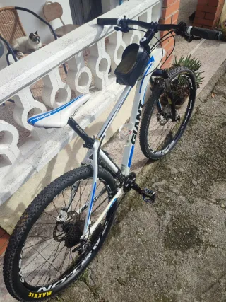 Bicicleta de montaña Giant Talla L
