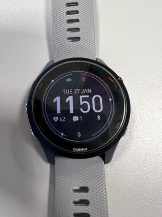 Garmin Forerunner 255