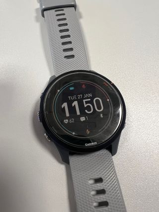 Garmin Forerunner 255