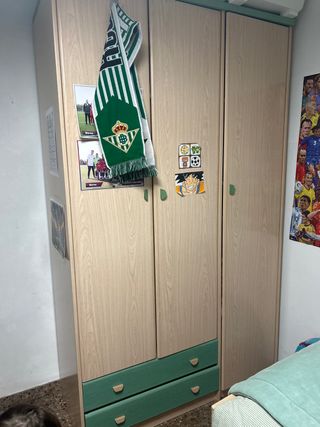 Armario de madera y plástico