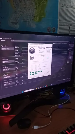 Volante PC Thrustmaster T300