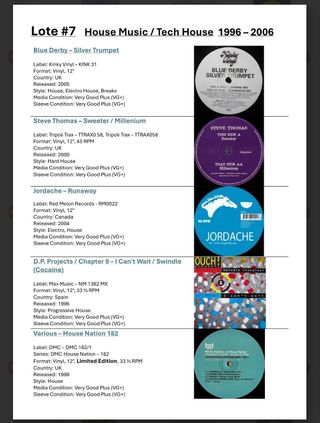 #7 Lote 10 discos de vinilo 12" ELECTRO/HARD HOUSE