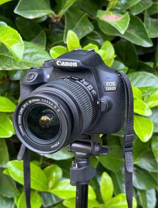 !!OFERTA!! Canon EOS 1300D Pro + Canon 18-55mm
