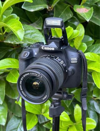 !!OFERTA!! Canon EOS 1300D Pro + Canon 18-55mm