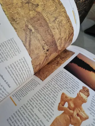 Historia de la humanidad