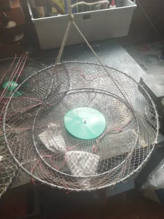 Nasas para cangrejos