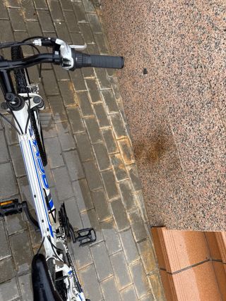 Bicicleta infantil/juvenil