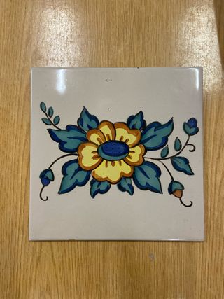 Baldosa cerámica antigua valenciana 20x20