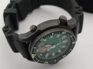 Citizen Aqualand Edizione Limitata