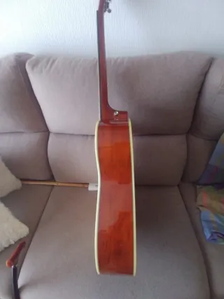 Guitarra Acústica SX