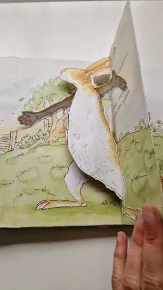 Adivina cuanto te quiero (pop up) (Spanish Edit...