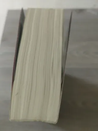 Los hombres que no amaban a las mujeres: The Gi...