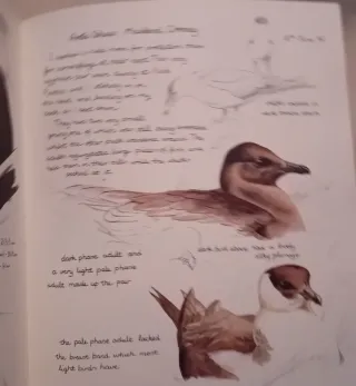 Libro Keith Brockies Wildlufe sketchbook