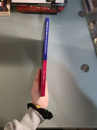 Fundamentos para una teoría del derecho - 2ª ed