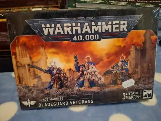 Warhammer 40,000 Bladeguard Veterans