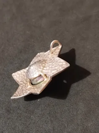 Colgante Estrella de Plata