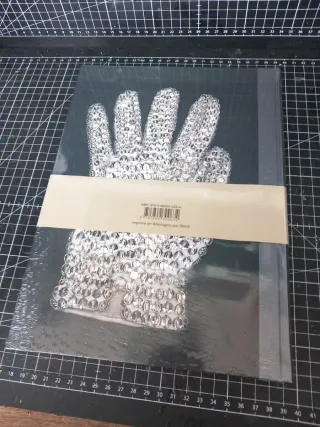 Neverland lost - un portrait de Michael Jackson