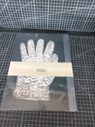 Neverland lost - un portrait de Michael Jackson