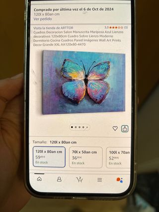 Cuadro Mariposa 120x80cm