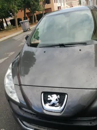 Peugeot sport 308 2009