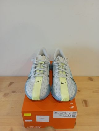 Nike (42 EU) Pegasus Plus Gris