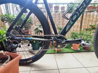 Bicicleta MTB Orbea MX2920