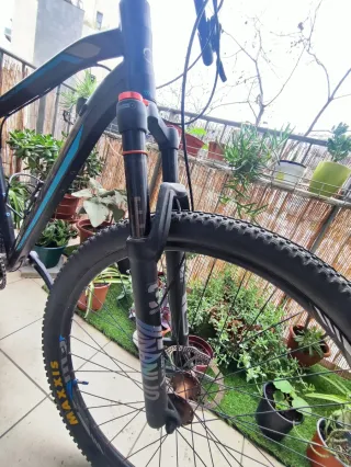 Bicicleta MTB Orbea MX2920