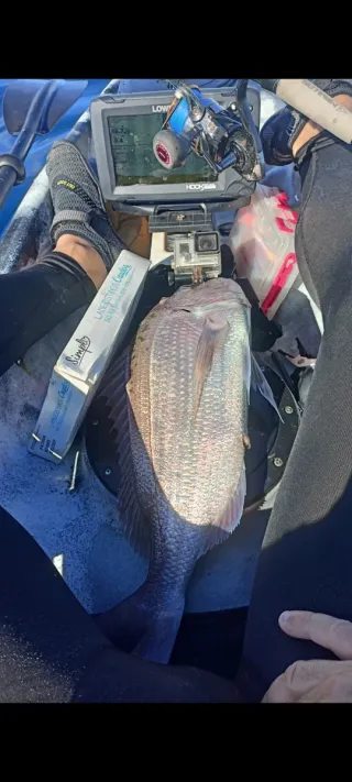 Kayak de pesca con remo
