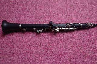 Clarinete Sib Gara GCL21 con funda