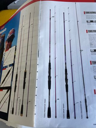 Caña Hart Toro Predator 72MH.