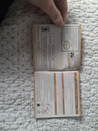 Pokemon Edición Oro Heartgold Nintendo DS