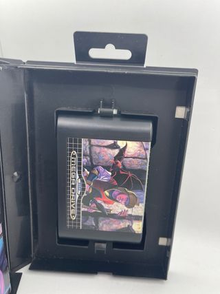 Fatal Labyrinth Mega Drive Sega