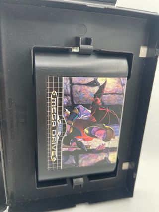 Fatal Labyrinth Mega Drive Sega