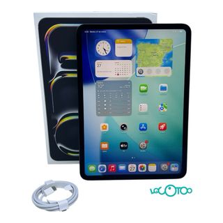 iPad Pro 11 256GB WiFi Plata