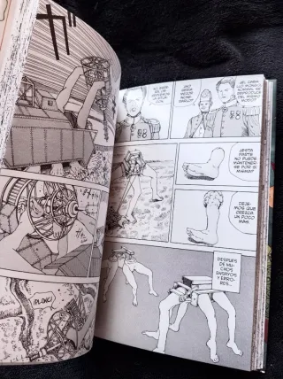 La formidable invasión mongola (Edición flexibook)